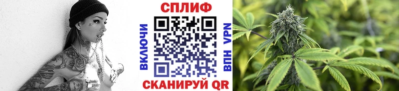 Бошки Шишки MAZAR Новотитаровская